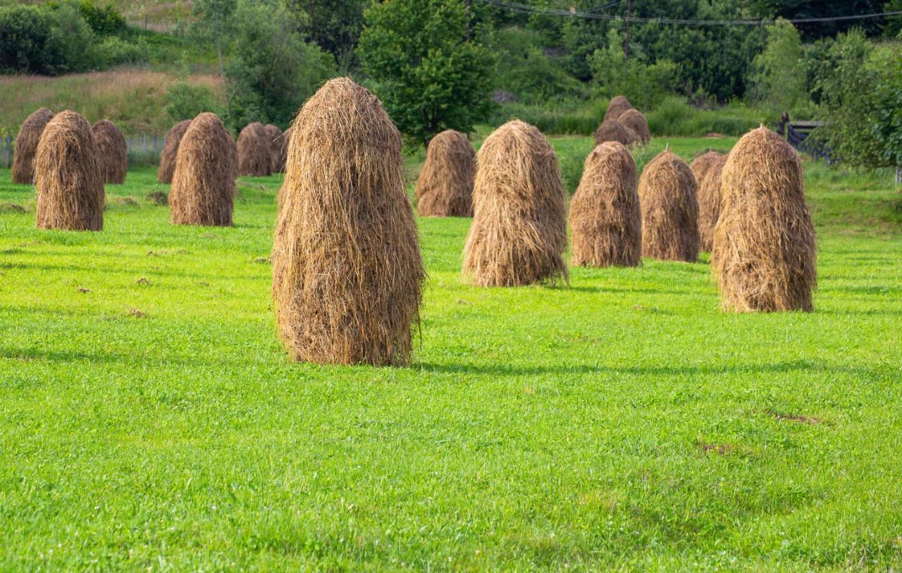 Casa De Vacanta Armi Molidu Εξωτερικό φωτογραφία