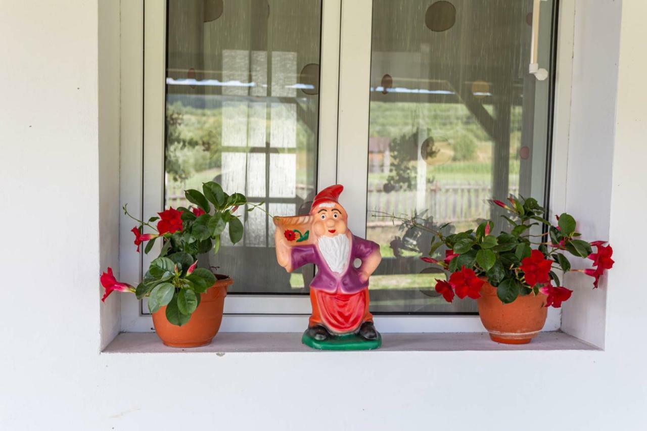 Casa De Vacanta Armi Molidu Εξωτερικό φωτογραφία